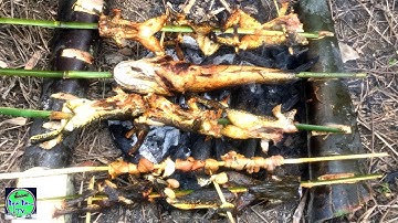 ra vườn BẮT CÁ LÓC NƯỚNG, ẾCH NƯỚNG nhậu tại chỗ thật sướng | NGÃ NĂM TV