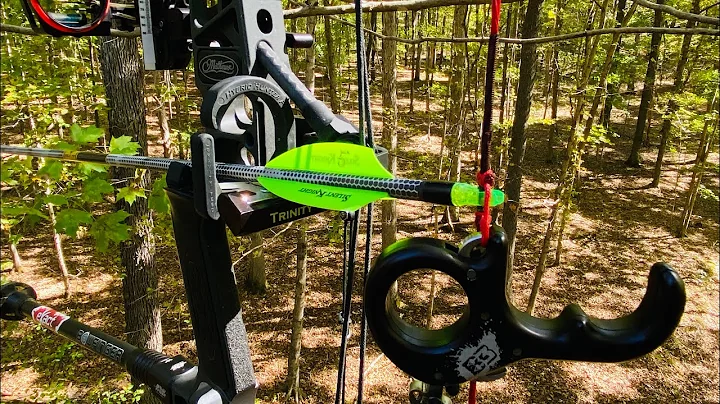 New Mathews V3 31 Tuning Tip & Initial Impressions