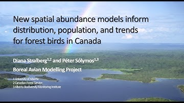 New spatial abundance models inform distribution, population, and trends for forest birds in Canada
