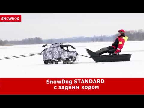 Snowdog: Standard с
