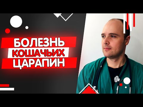 Болезнь Кошачьих Царапин