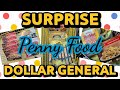 Surprise penny food  dollar general 51324