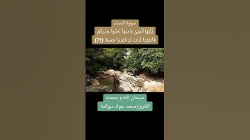 سورة النساء -آية71: القارئ/محمد جواد سوالمة