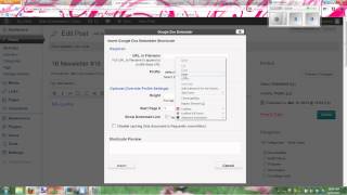 Pdf in WordPress Blog Using Google Doc Embedder 2013