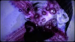 Ares Chadzinikolau Trio  -  Artemidas dream