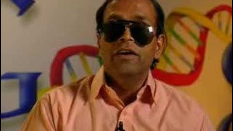 Accessible search by Google: TV Raman explains - 2nd clip