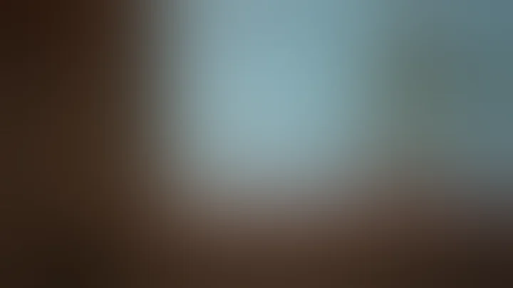 CS231n Winter 2016： Lecture 5： Neural Networks Part 2