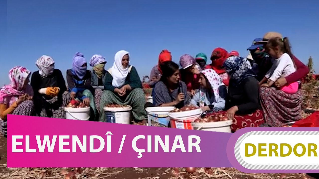 DERDOR - ELWENDÎ / ÇINAR