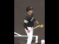 ドブヒとホームラン 2【プロスピA】