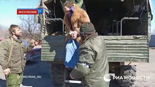 Свадьба в Малиновке в ВСУ