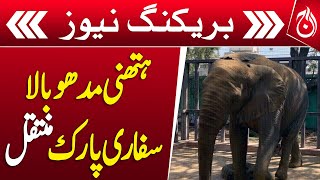 Elephant moved to Madhubala Safari Park - Aaj News