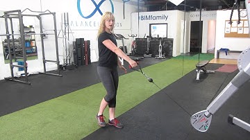 Single Leg RDL to Row