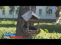 Поселки Ставрополья преображаются по инициативе местных жителей