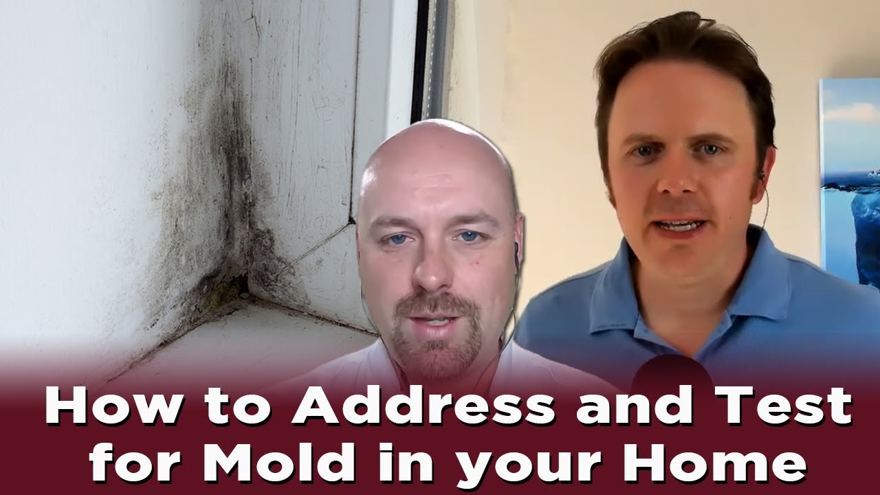 How to Address and Test for Mold in your Home with JW Biava  | Podcast 