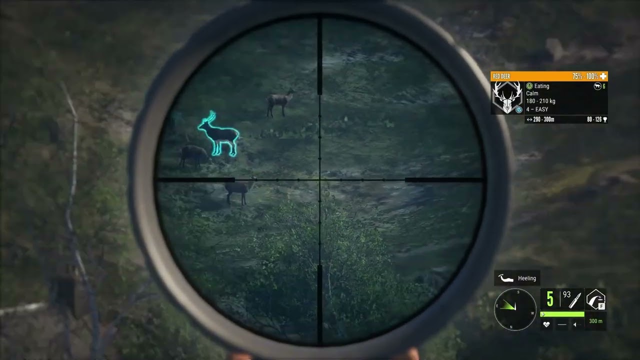 red deer grind part:1 #hunting #hcotw #deerhunt #all #everyone #peoples