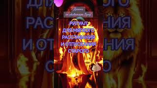 ❗RITUAL FOR SOFT SEPARATION AND LETTING GO OF THE OLD ❗#shorts #recommendations #2025 #top #magic... screenshot 3