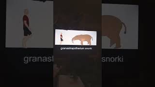 #Gigantopithecus #Paranthropus #granastrapotherium #bubalus