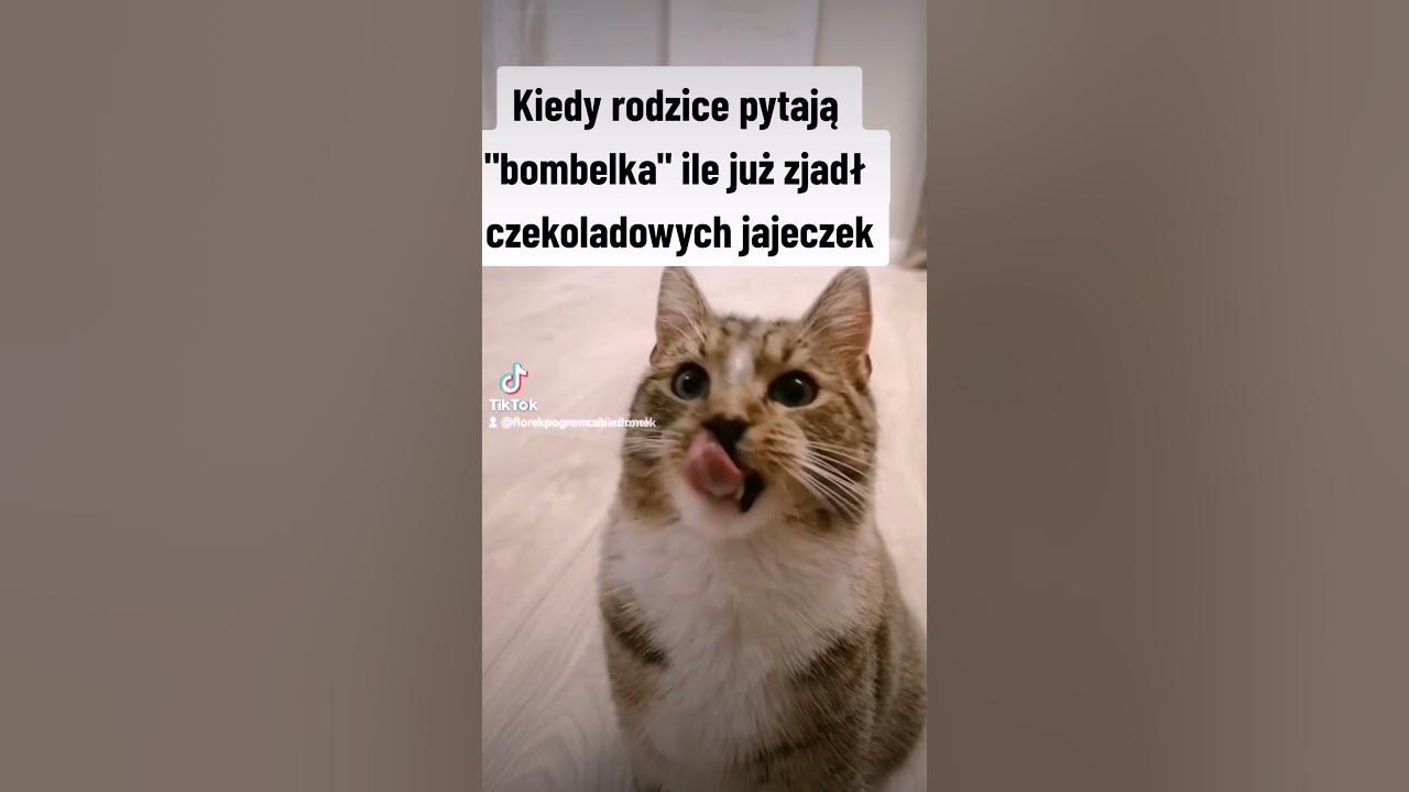 Ile zjadłeś czekoladowych jajeczek? - YouTube