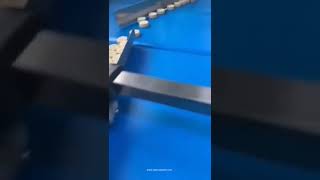 Moon cake sorting conveyor feeding tray filling packing machine high speed video