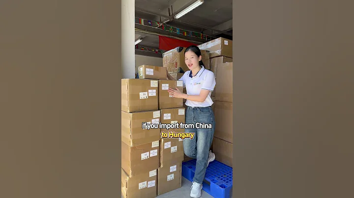 How to Shipping from China to Hungry? #dfhlogistics #chinashippingagent #chinafreightforwarder
