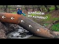 МОЛДОВА: Отравленная вода из крана. Самая грязная река Европы - Икель