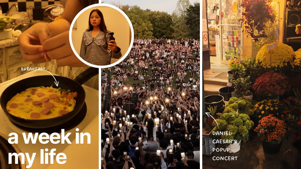 a week in my life 💌 cooking, daniel caesar's concert & joining a run club