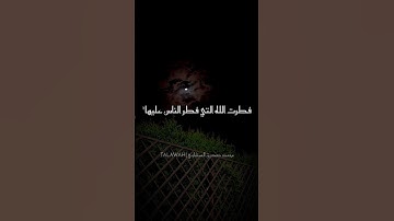 ﴿ فَأَقِمْ وَجْهَكَ لِلدِّينِ حَنِيفًا ۚ﴾ تلاوه خاشعه للشيخ محمد صديق المنشاوي #نهاوند #لايك #المصحف