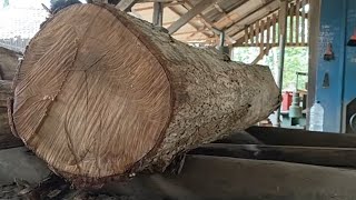Small but annoying!! The most unique and interesting jenitri wood is sawed in a sawmill