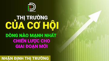 Thị trường của cơ hội - Dòng nào mạnh nhất - Chiến lược cho giai đoạn mới