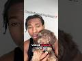 What is your favorite dog breed lmk??!! #shorts #fyp #cutedog