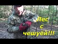 Коп в лесу, не ожидали такого найти.  Коп с Minelab Equinox 600