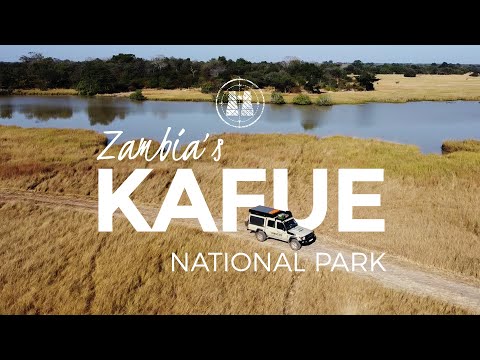 Kafue National Park, Zambia / 2023