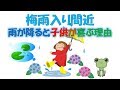 【水溜り遊び】頭が良くなる「知的好奇心」を引き出す子育て
