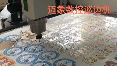 CCD cnc router with camera