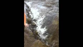 IMG 01191