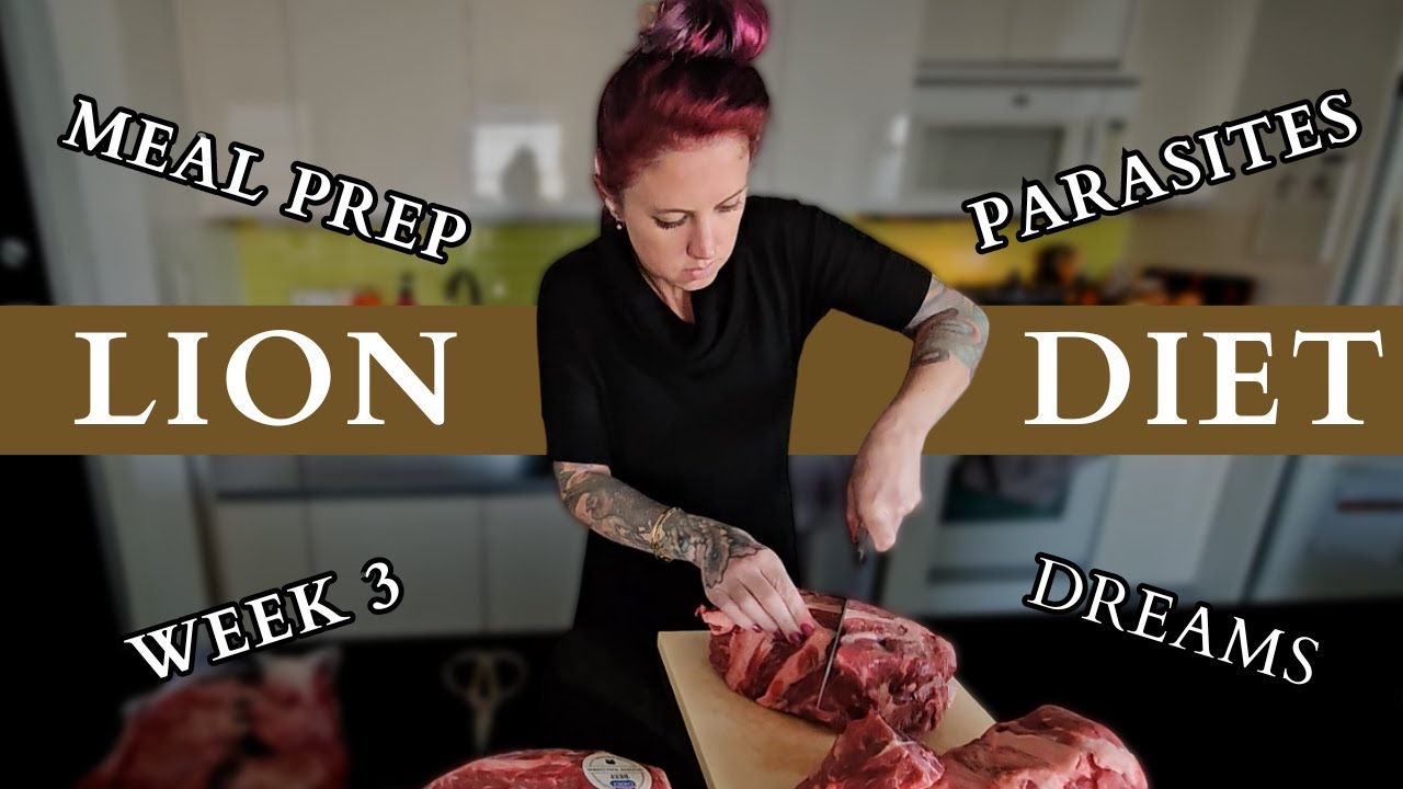 Meal prep, parasite cleanse, and dreams // LION DIET Week 3