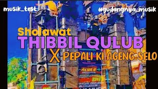 DJ Sholawat THIBBIL QULUB X PEPALI KI AGENG SELO Terbaru