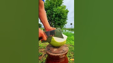 Satisfied with the sharp knife to cut the green coconut🤩❤️‍🔥 #asmr #fruit #ihavethisthingwithplants