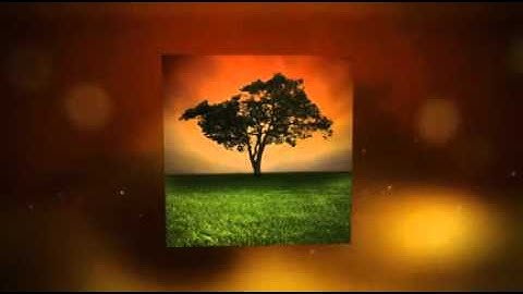 Power Of Words - Use Proofreading/Editing To Create The Perfect Text