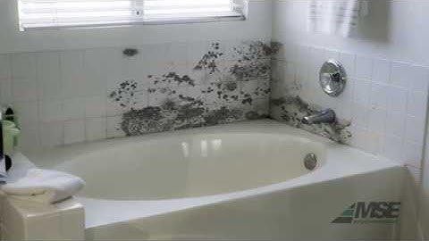 MSE Environmental Mold Inspection