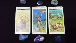 PISCES  3 CARD OF THE WEEK READING FOR OCTOBER 3- OCTOBER 9, 2016