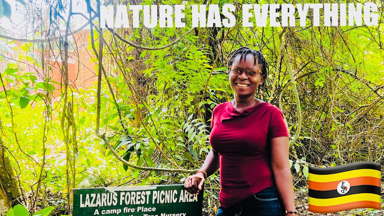 Forest Reborn in 6 Years | Bethany Land Institute 🇺🇬