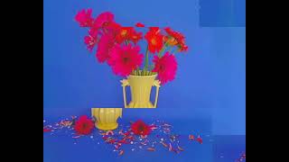 MCVideo 20190718 102956 2