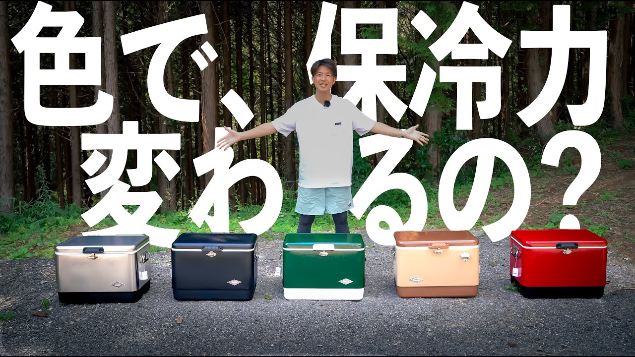 車載用 冷蔵 冷凍庫 20L -20℃ ～ 20℃まで 温度設定可能 2WAY 電源対応