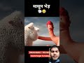 #remixvideo #funnyvideo #viralvideo #trending #explore #explorepage #fyp #foryou #viral #100 feed