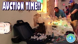 Tropical Fish Shrimp and Plant Auction - Greater Austin Aquarium Society