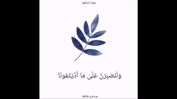 سوره إبراهيم 🎥:أرح قلبك ♥️