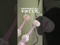 これやらないと1ヶ月始まらない！旅行前でも主婦のルーティンを淡々とこなす。生活音ASMR