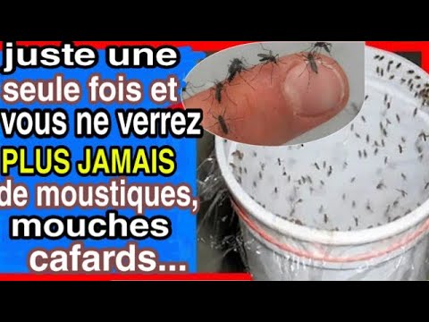 Vidéo: Le bicarbonate de soude va-t-il tuer les larves de moustiques ?