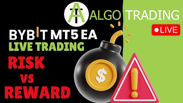 BYBIT MT5 EA - Understanding risk and reward